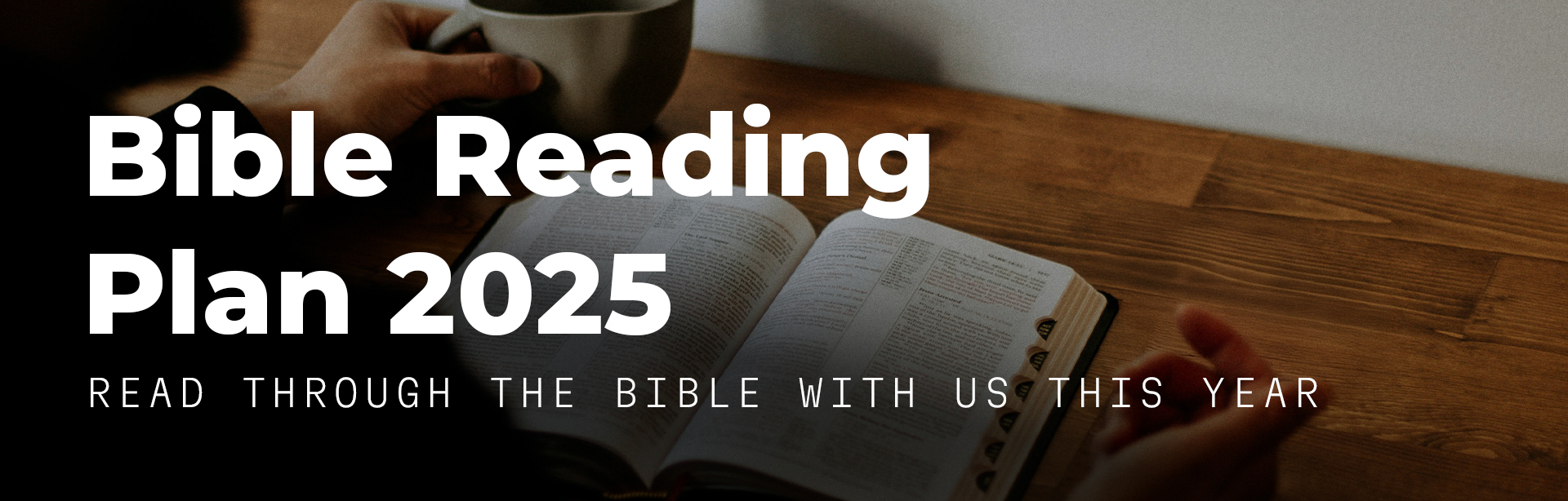 2025 Bible Reading Plan